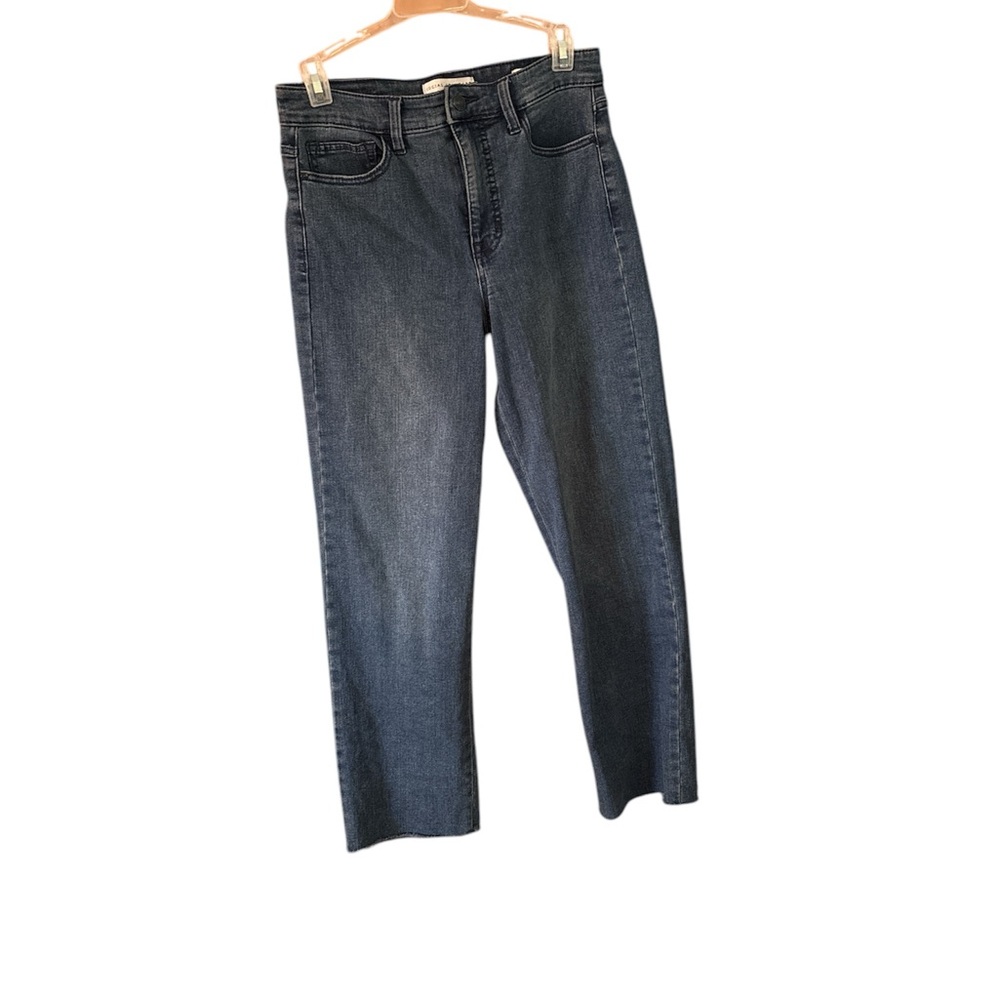 Social Standard by Sanctuary Women's Dark Blue Jeans size 4 ankle